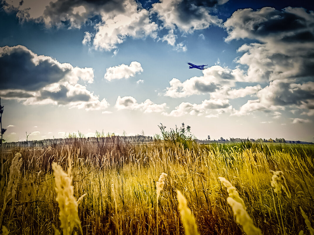Трава и самолеты. - Александр Беляков