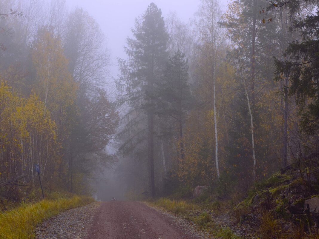 В Уппландском лесу - liudmila drake