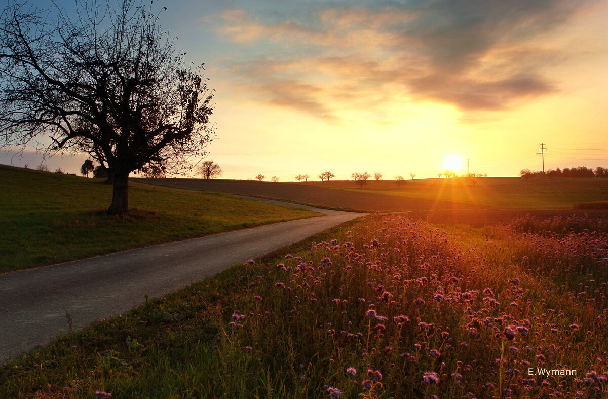 sunrise - Elena Wymann