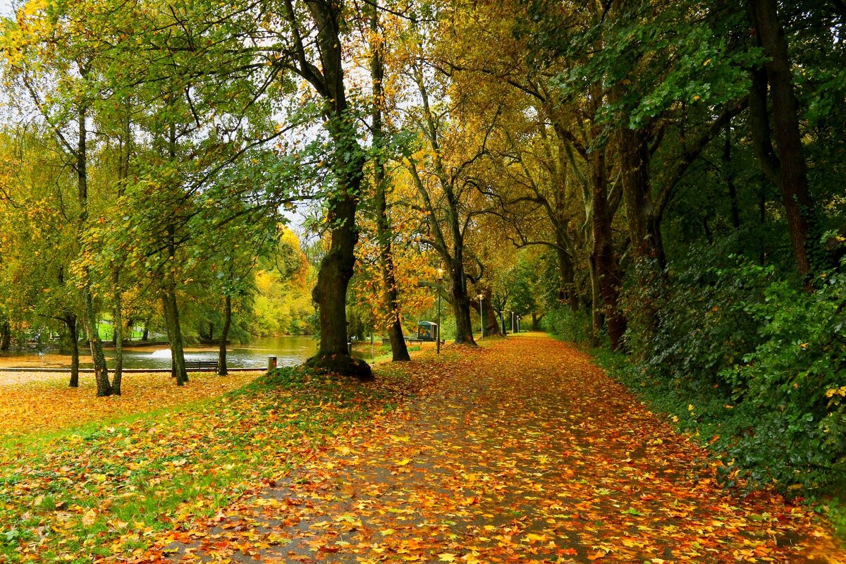 Уходит октябрь - Юрий. Шмаков Уходит октябрь - Юрий. Шмаков