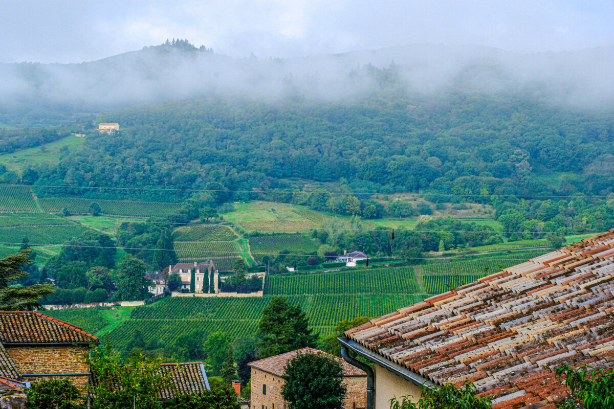 Туманное утро в д. Лейнс - Георгий А