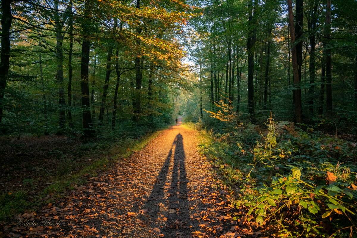 Человек с мешком грибов... - Николай Гирш