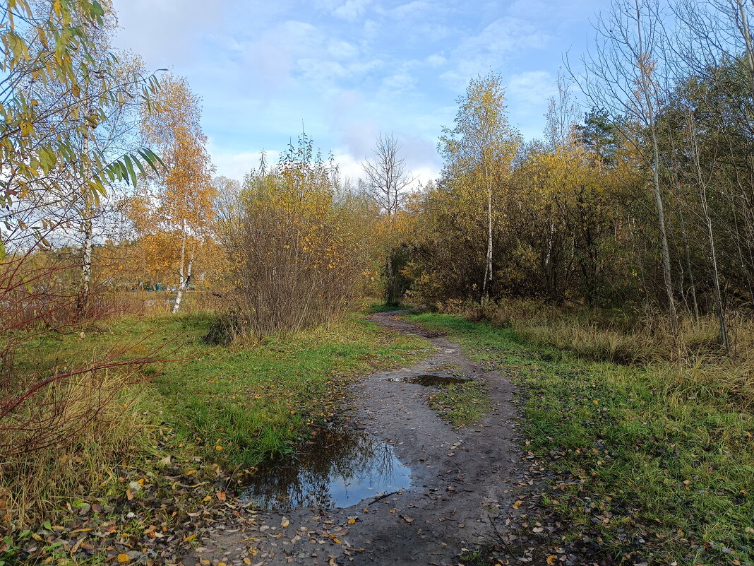 Осенний пейзаж - Леонид Иванчук