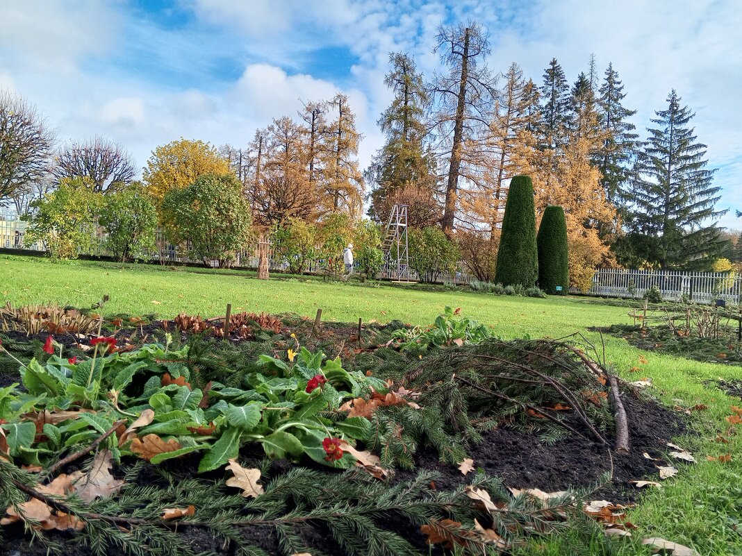 Осень - Сапсан 