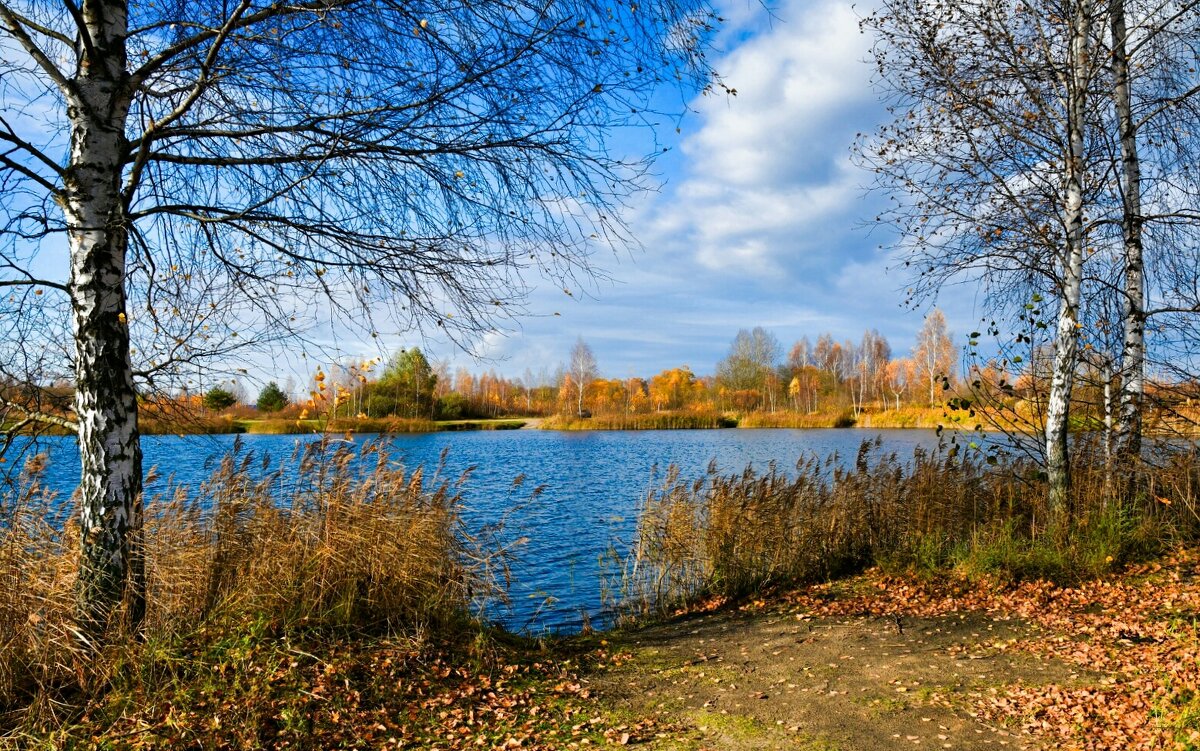 Осенний пейзаж с озером (репортаж из поездки по области). - Милешкин Владимир Алексеевич 