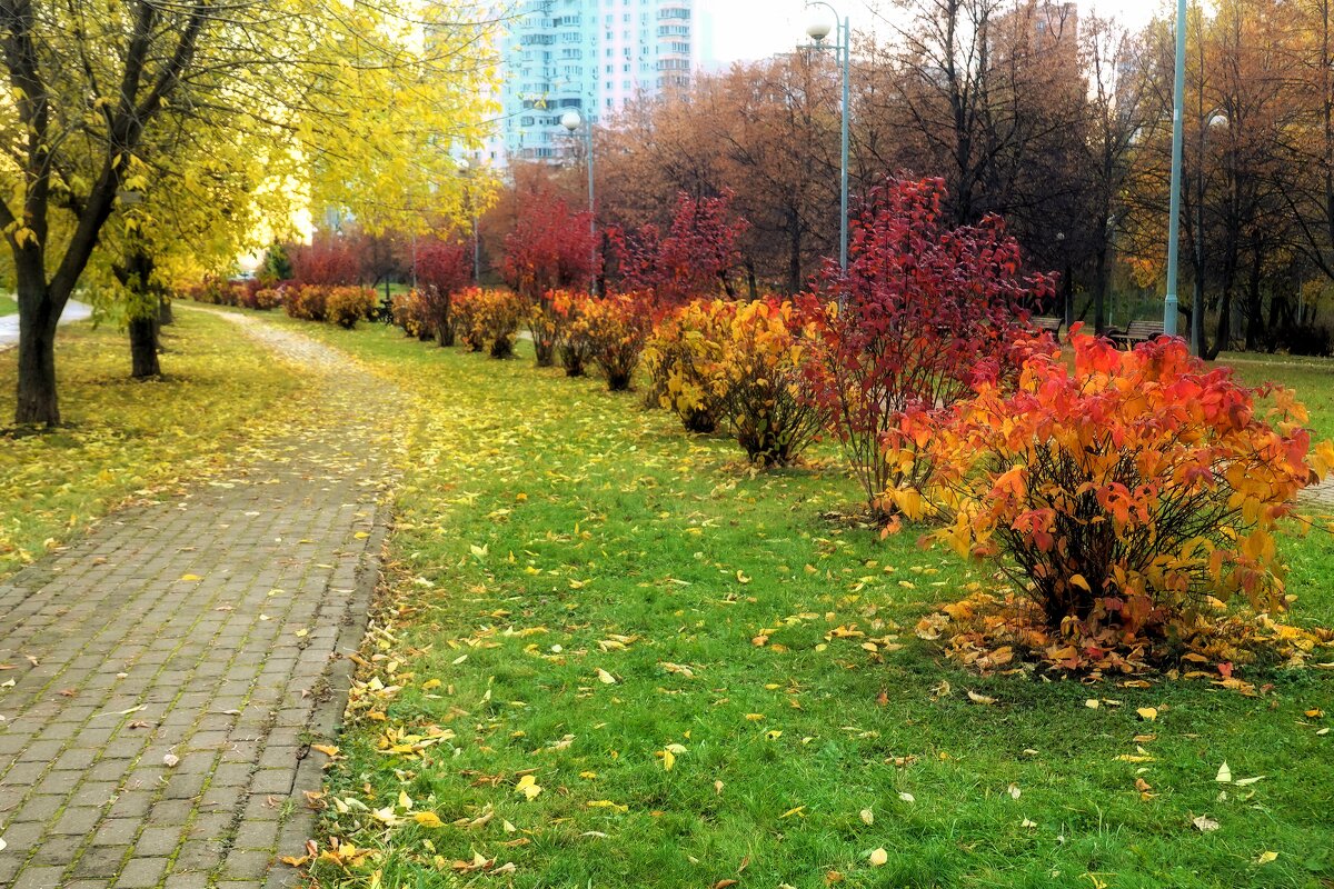 По аллеям парка бродит осень. - Татьяна Помогалова