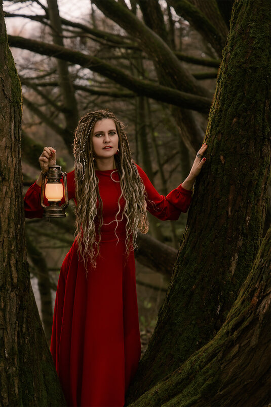 В старом лесу - Michel 