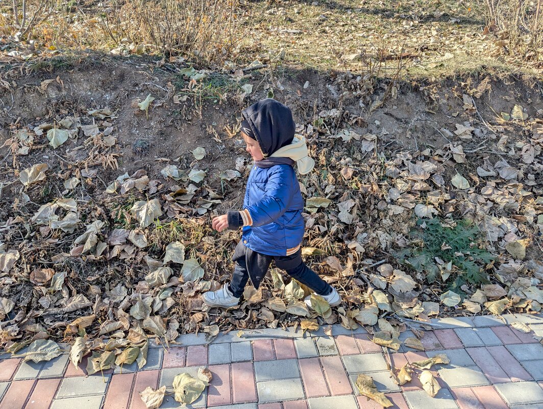 Хруст листьев - Андрей Хлопонин