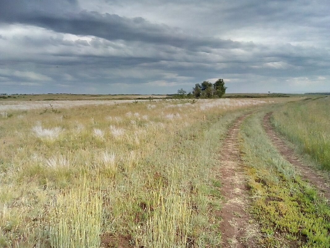 Эх, дороги....Степь,да степь кругом... - Георгиевич Эх, дороги....Степь,да степь кругом... - Георгиевич