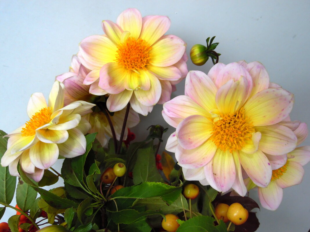 Весёлые ребятки. - nadyasilyuk Вознюк