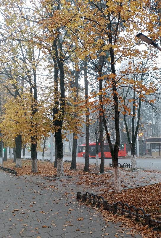 *** - Валентина Береснева