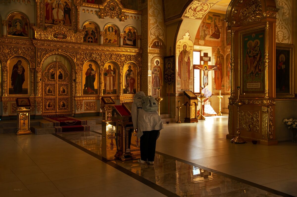 "-" - Светлана Фокша