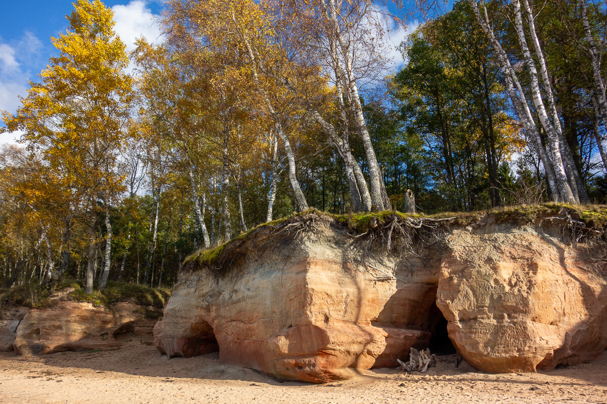 *** - Геннадий Порохов *** - Геннадий Порохов