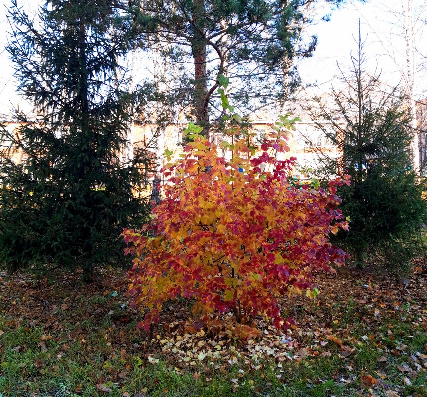 Прощай октябрь! - Венера Чуйкова