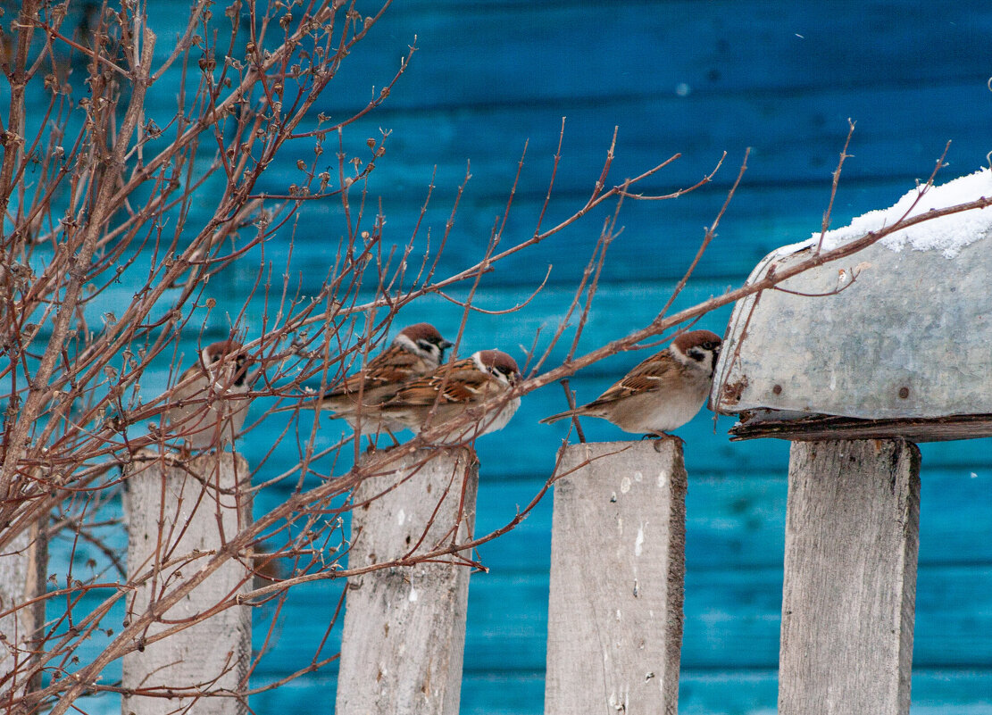 Очередь - Владимир Иванович