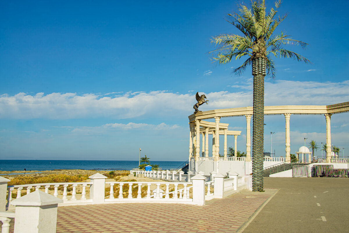 Под небом - Анатолий Чикчирный