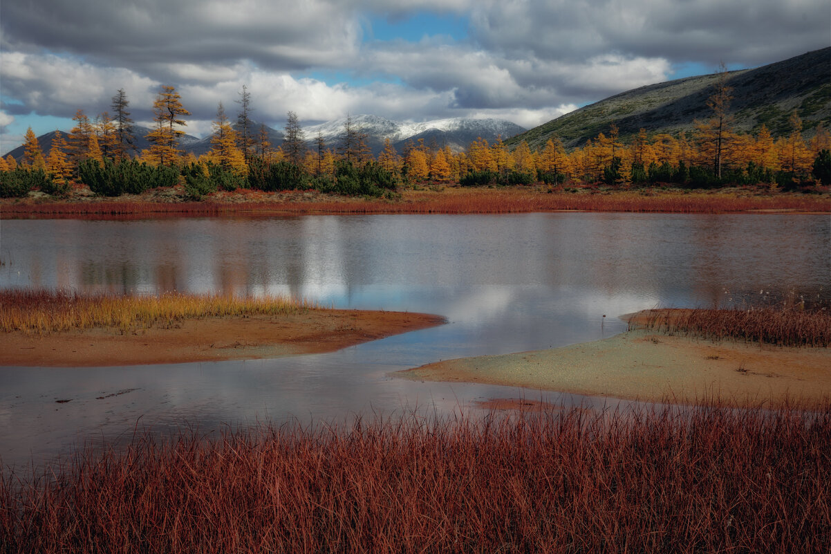 Разноцветная осень - Дмитрий Шишкин