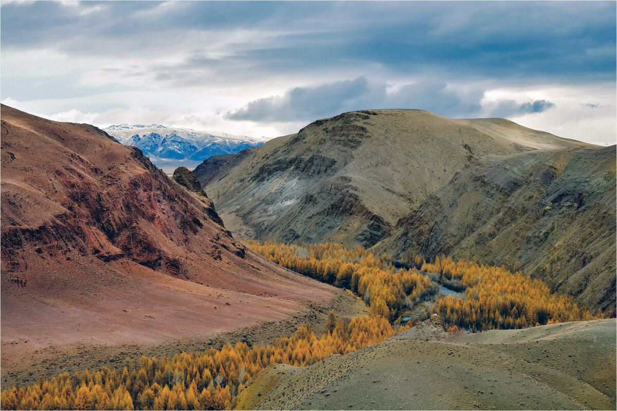 **** - Алексей Мезенцев