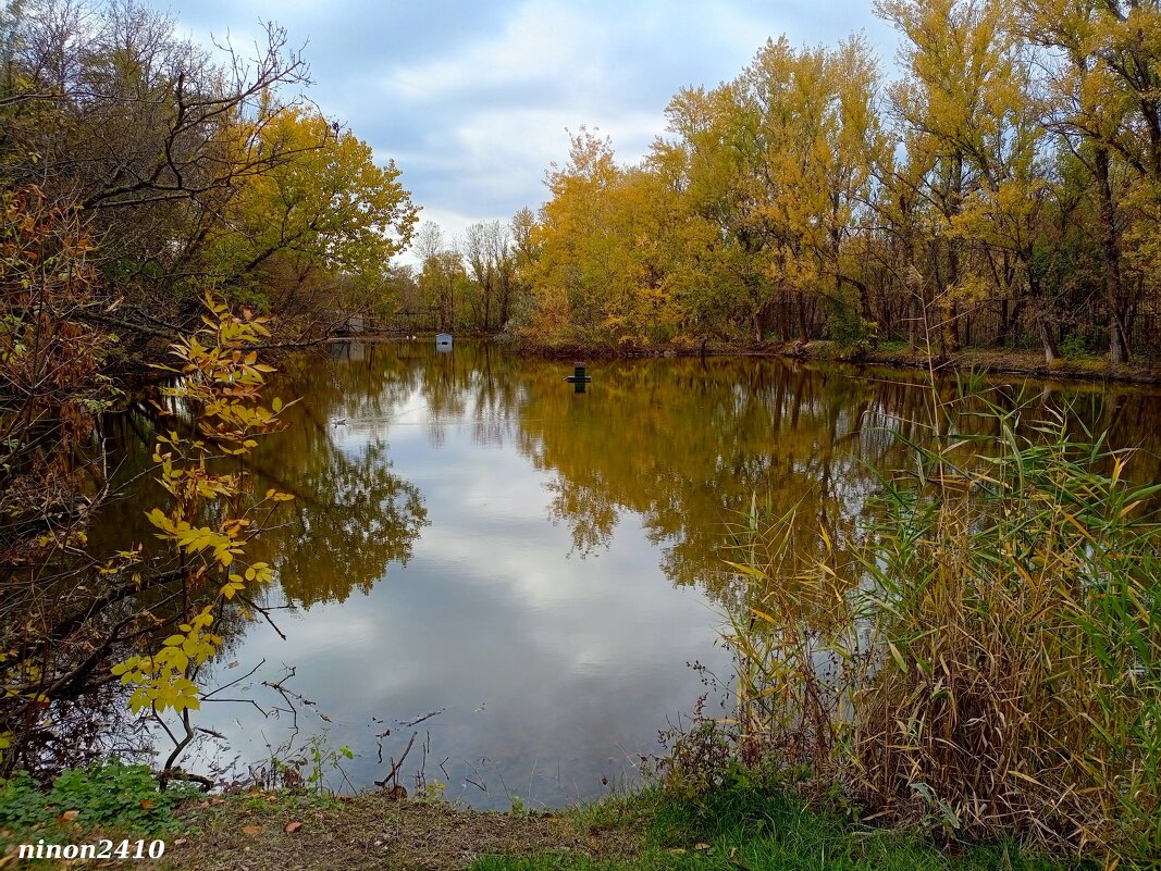 Октябрь в ростовском зоопарке - Нина Бутко