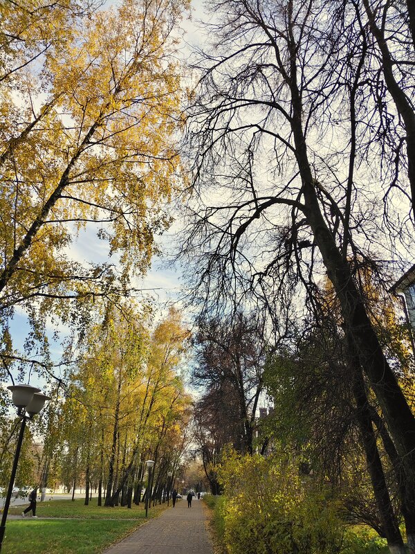 Краски осени - Александр Кондаков