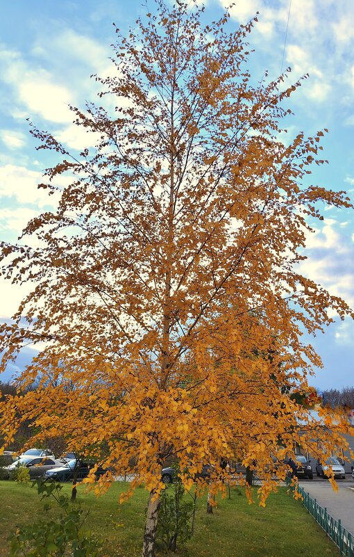 У дома - Александр Кондаков