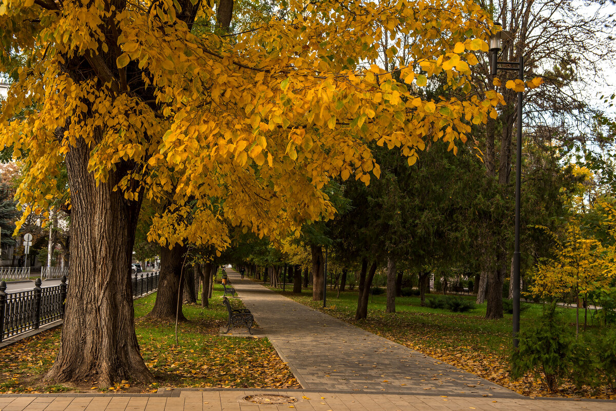 Уголки Симферополя. - Сергей Воротников