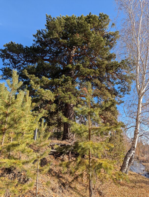 Красота природы края - Андрей Хлопонин Красота природы края - Андрей Хлопонин