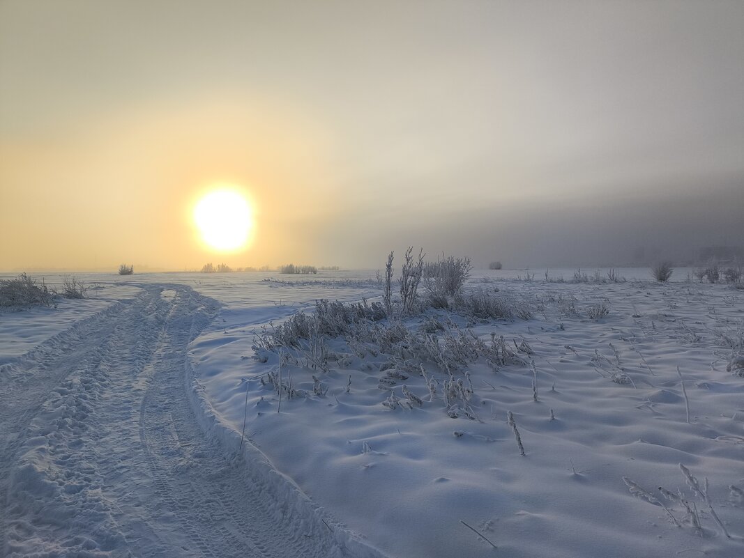 Утро - Anna Ivanova