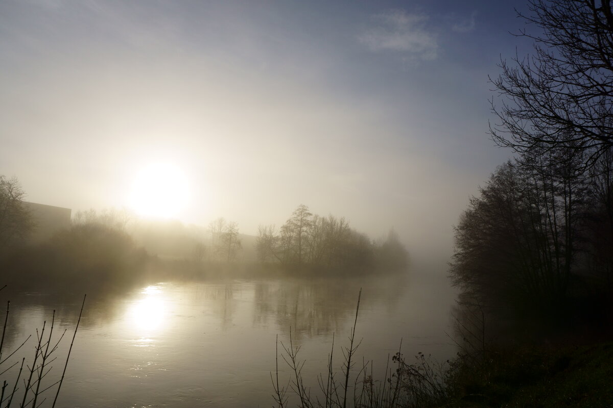 Утро туман.. - igor G.