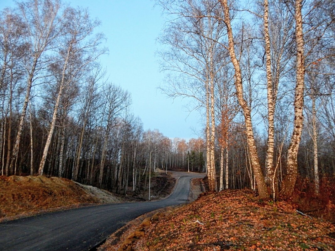 Серою лентою вьётся дорога! - Елена Хайдукова  ( Elena Fly )