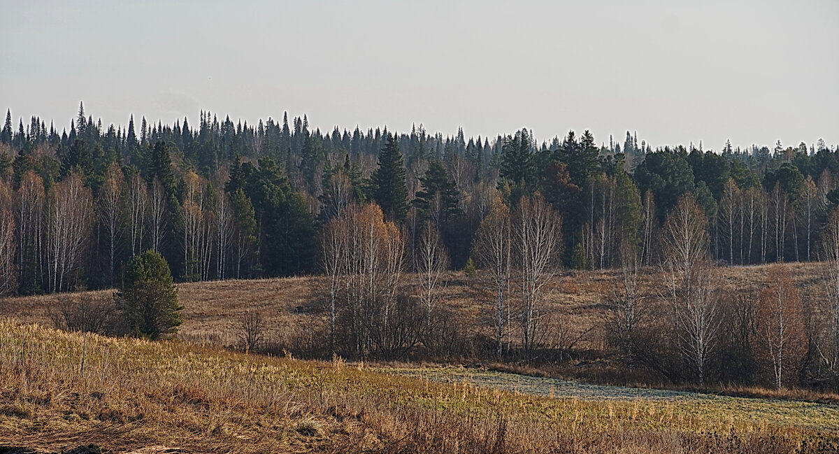 Дохнул осенний хлад... - Галина Кан