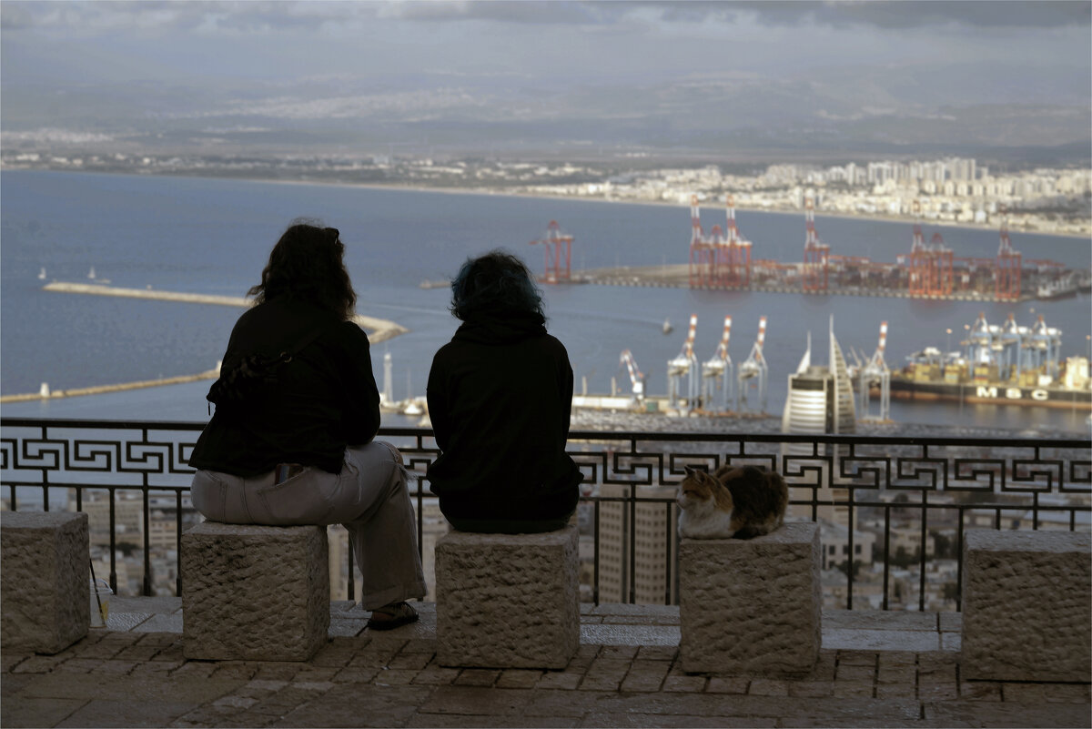 Хайфа, Израиль 29,10,2025г - ujgcvbif 