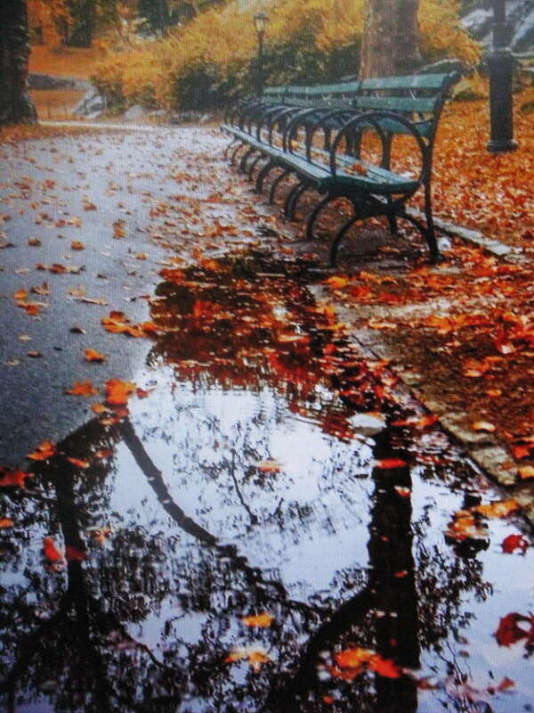 После дождя - Людмила Смородинская