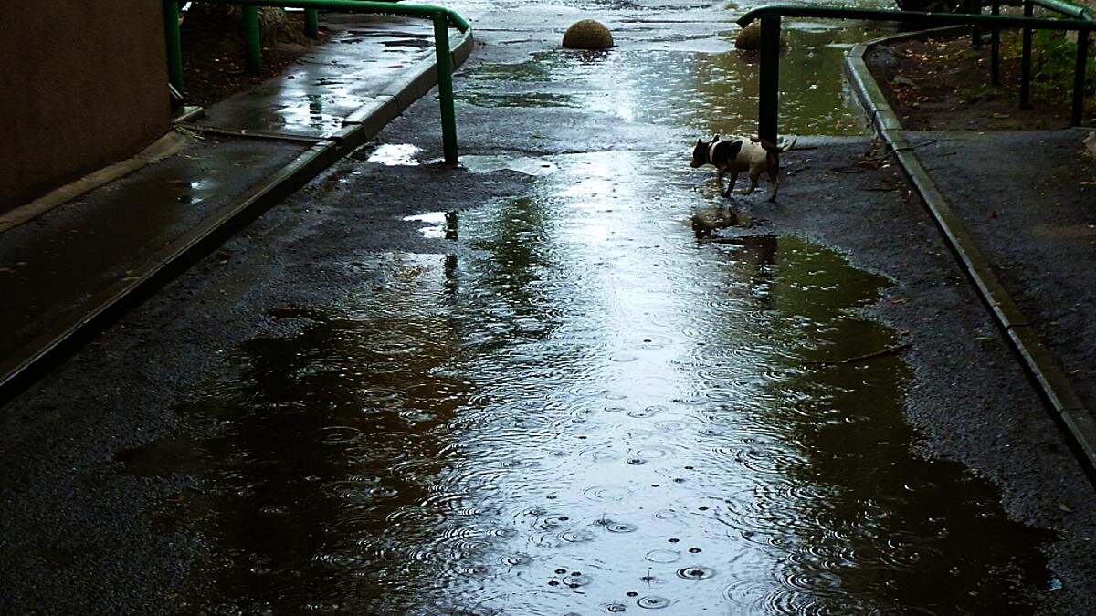 льет с утра - Николай Семёнов