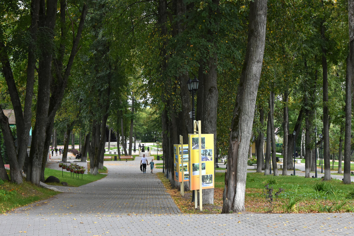 Владимирская область. Город Александров. - Наташа *****