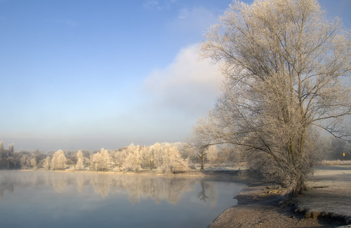 Нежное утро - Андроник Александр 
