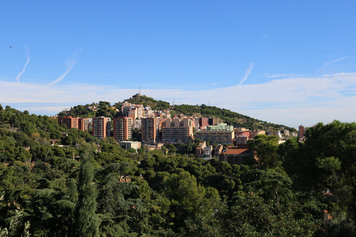Холмы Барселоны - Ольга 