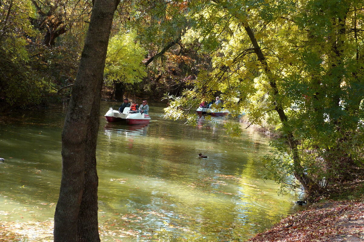 На катамаране - Валентин Семчишин