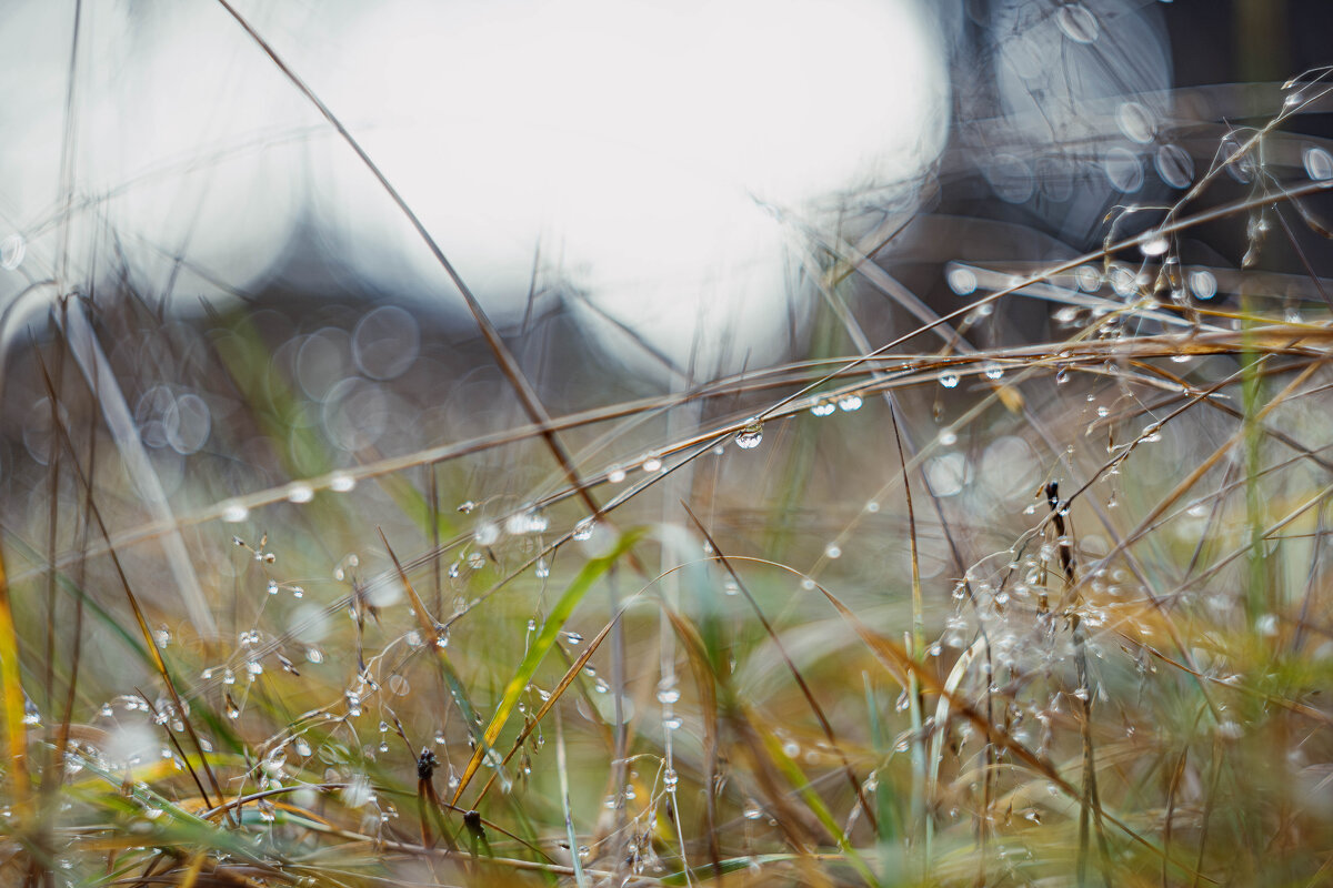 Между дождём и солнцем - yuriim ㅤ