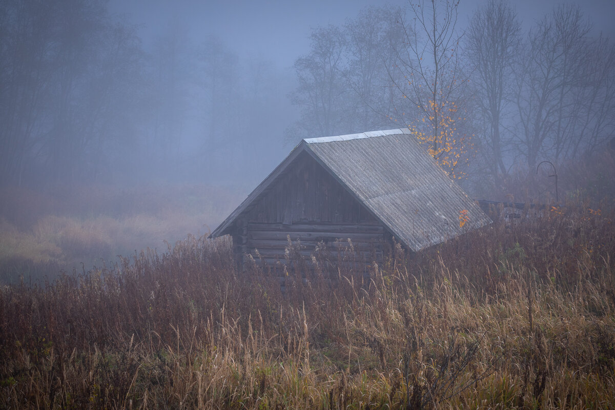 **** - Елизавета .