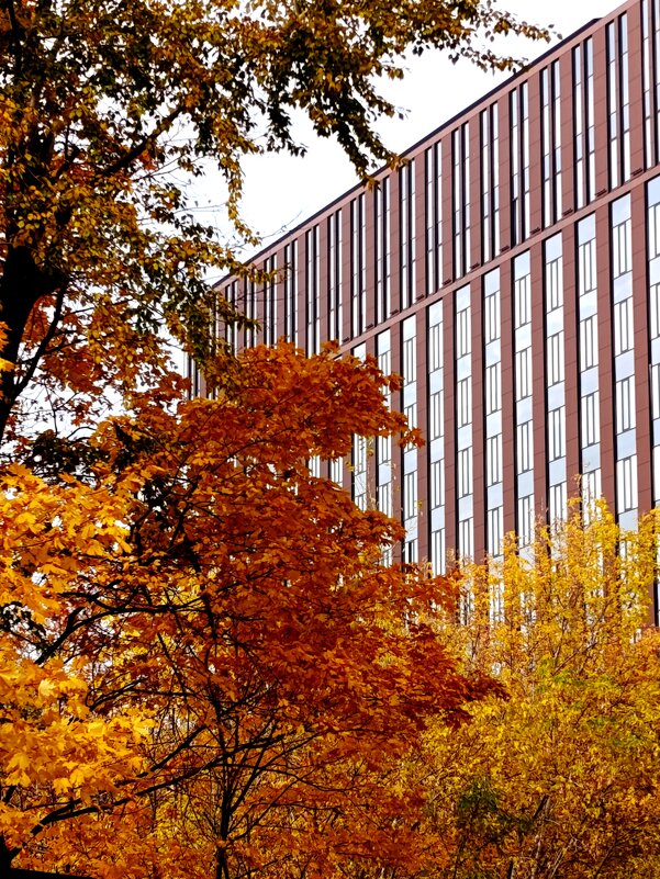 Осень... - Сергей Дабаев