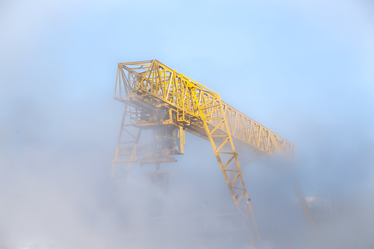 Туман - Александр Силинский