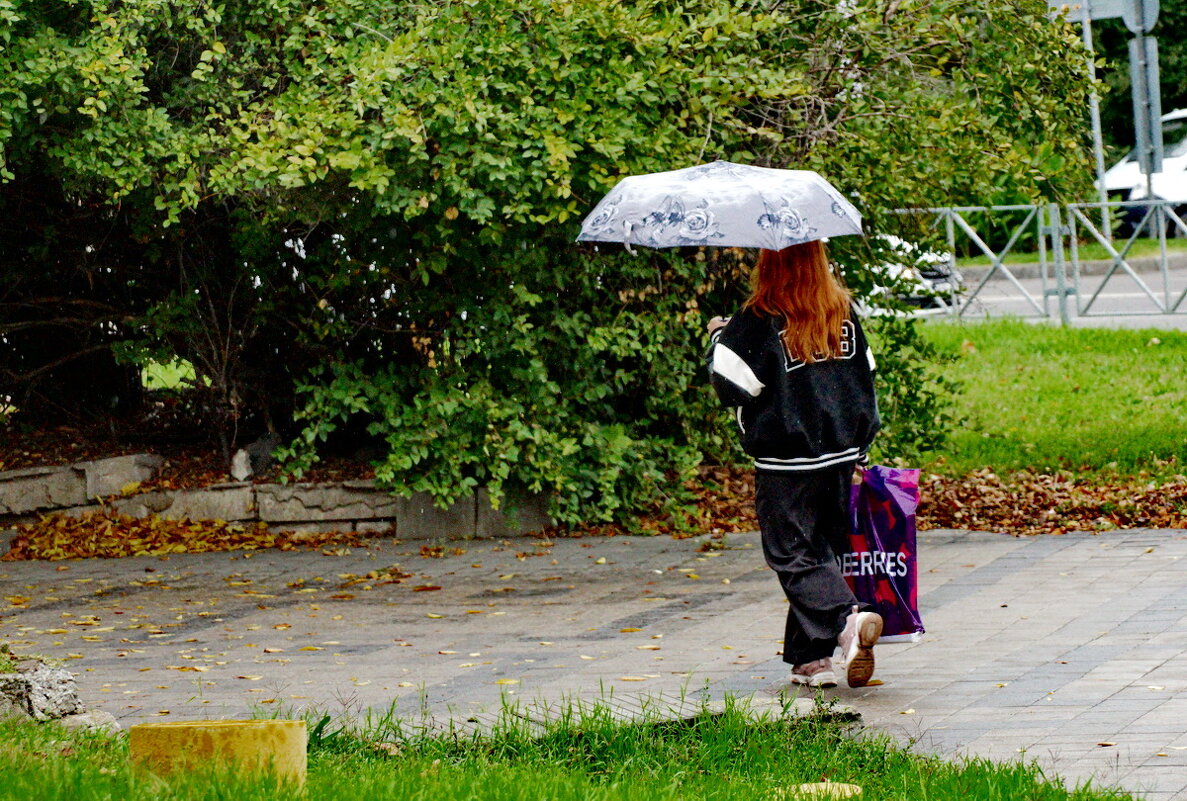 Шёл мелкий дождь... - Николай Саржанов