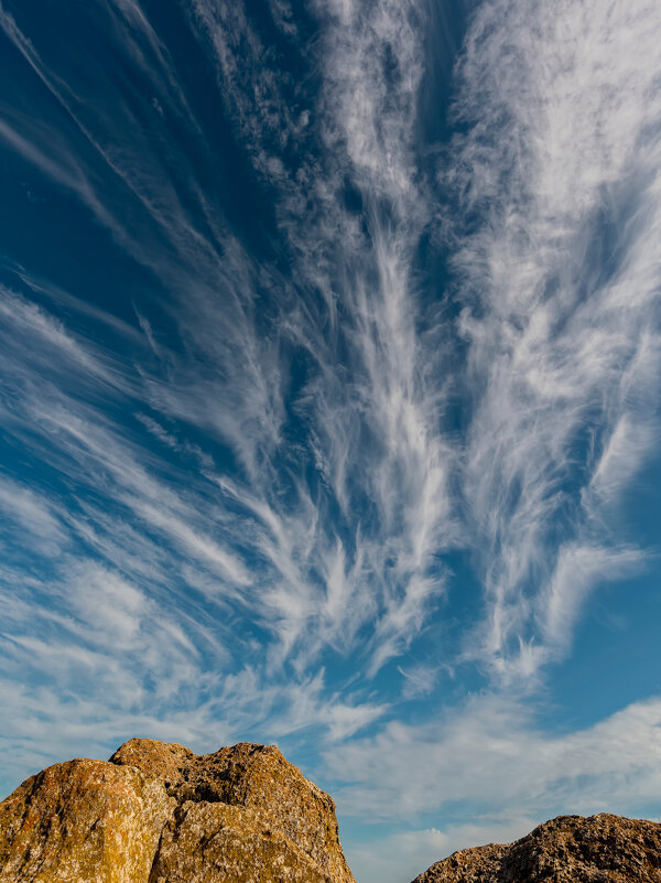 **** - Виталий Емельянов **** - Виталий Емельянов