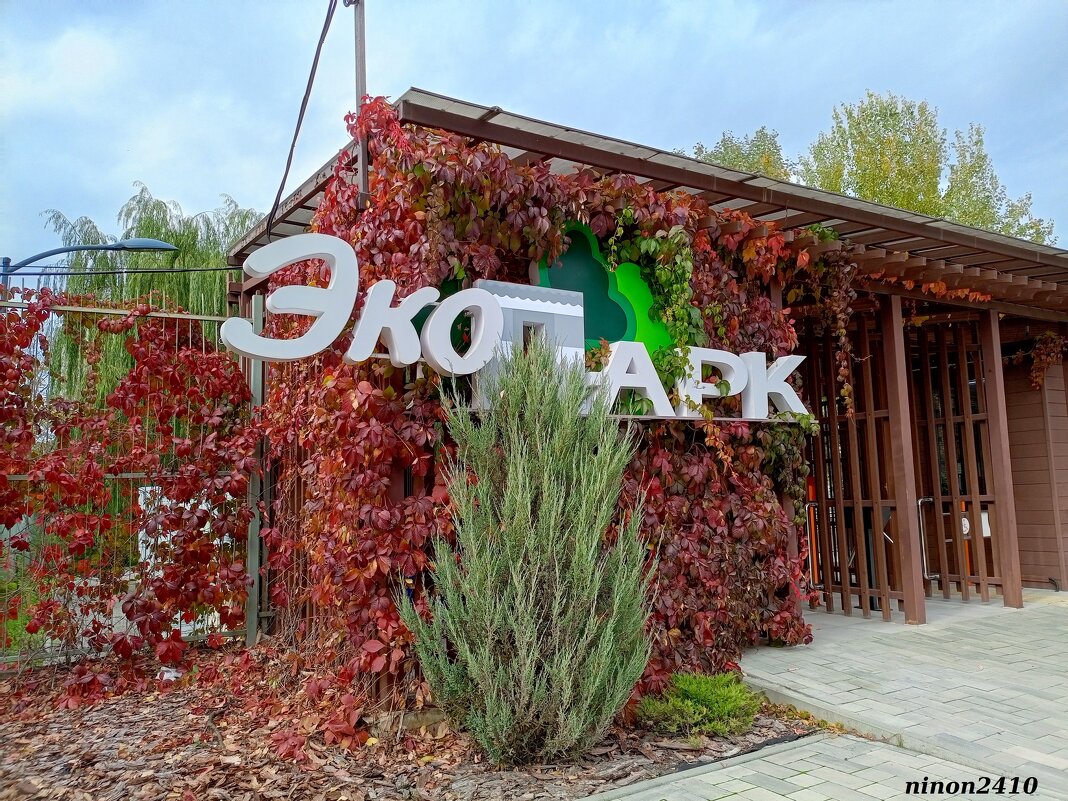 Октябрь в ростовском зоопарке - Нина Бутко