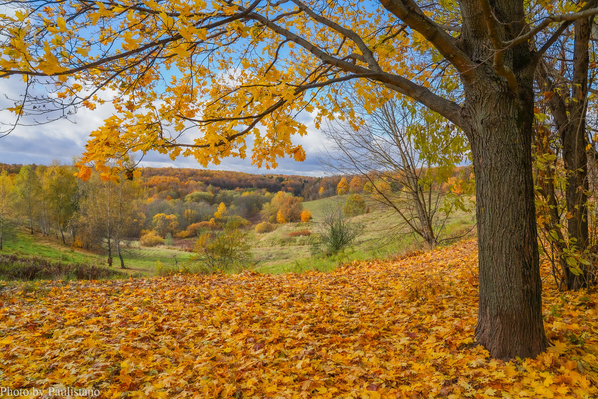 Октябрь в Царицыно... - Владимир Жданов
