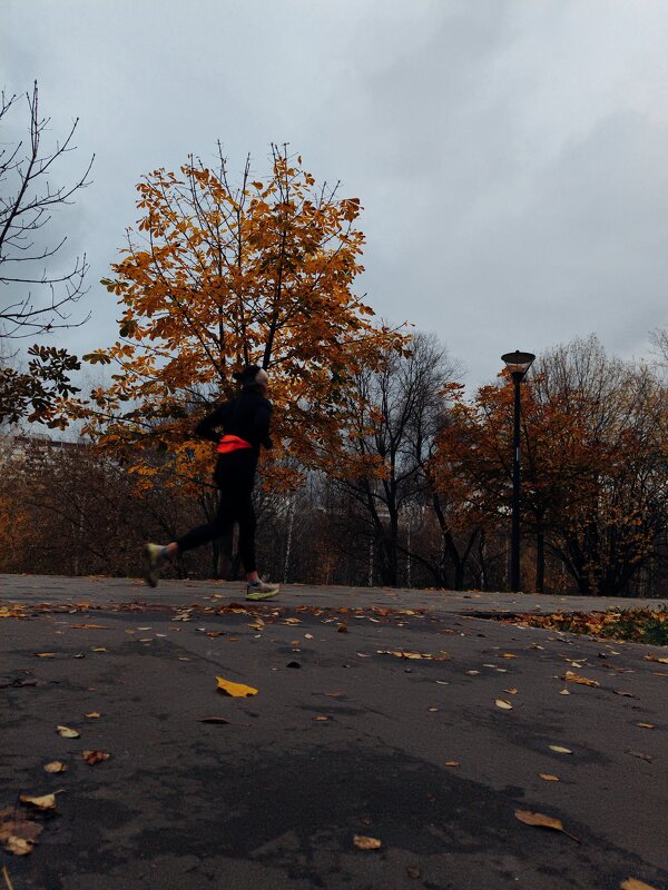 Бегущая девушка на фоне золотого дерева в пасмурную погоду. - Ann 