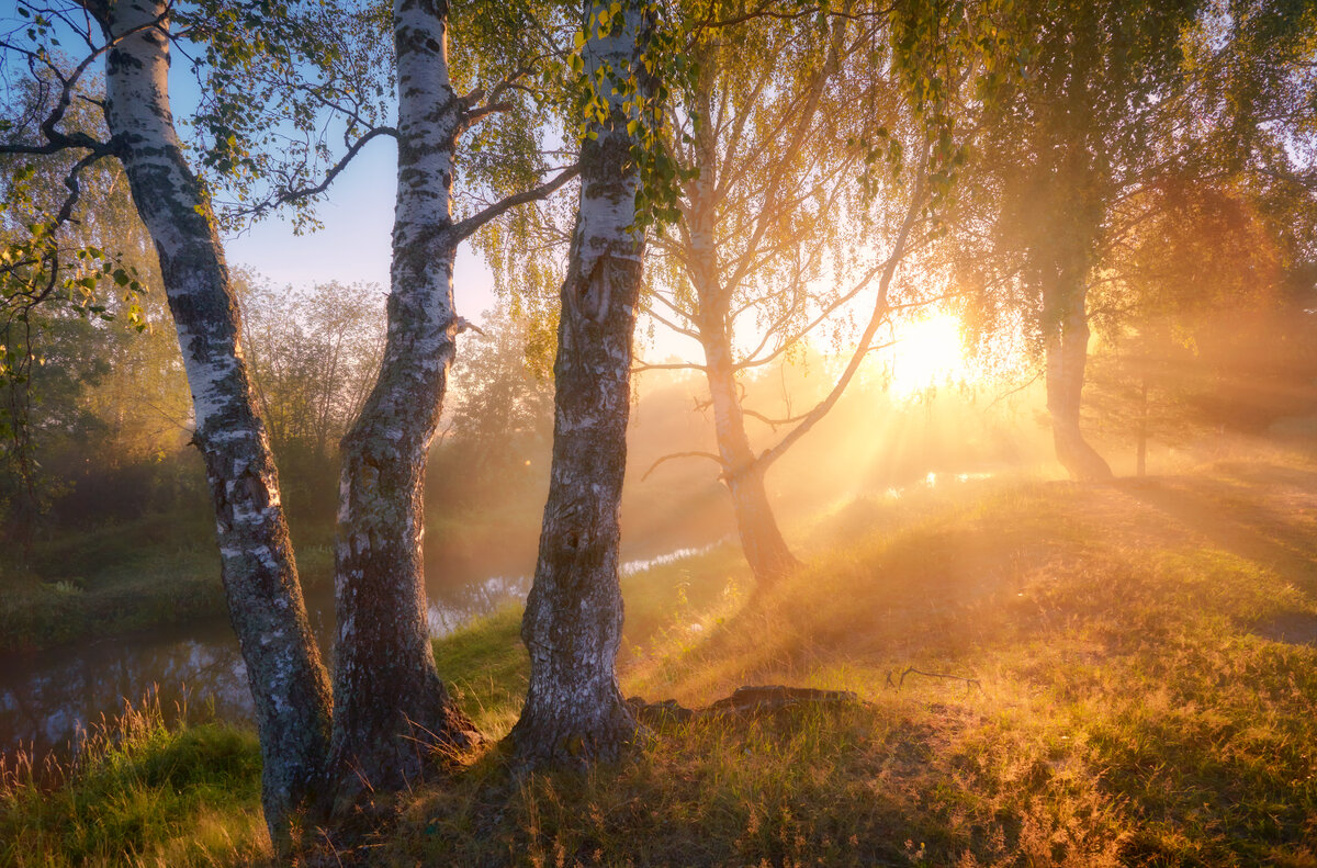 "Золотая секунда" ... - Roman Lunin