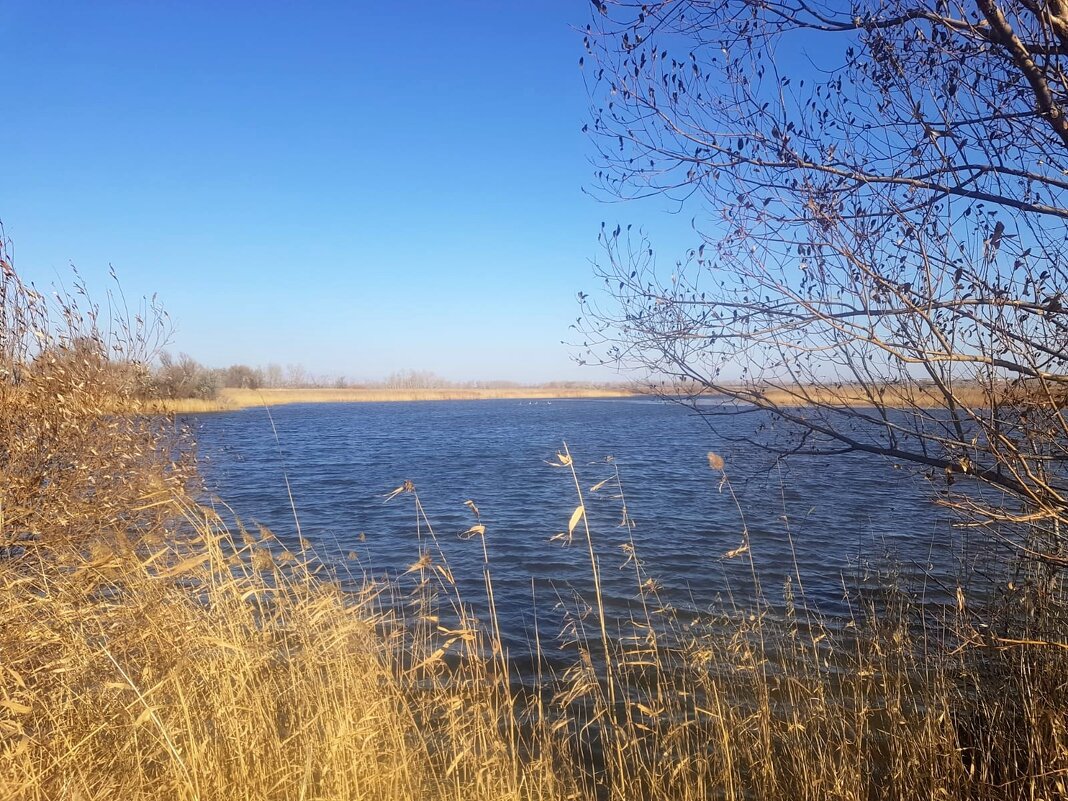 Октябрь рыжий... - Георгиевич 