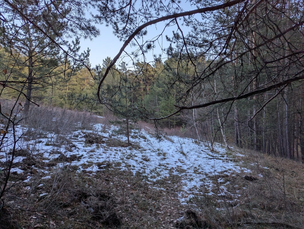 Пути дорожки в лесу - Андрей Хлопонин Пути дорожки в лесу - Андрей Хлопонин